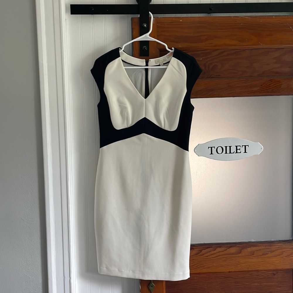 The limited scandal collection dress